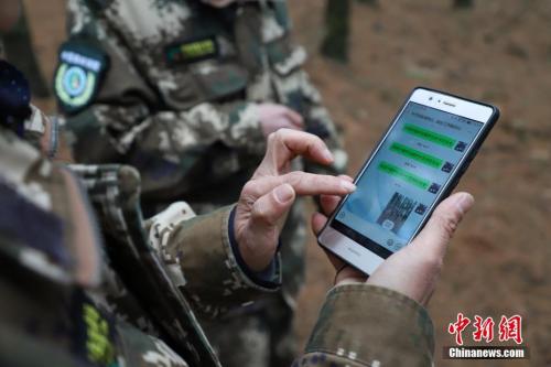 资料图：<a target='_blank' href='http://www.chinanews.com/'>中新社</a>记者 瞿宏伦 摄