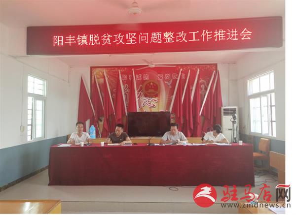 阳丰1