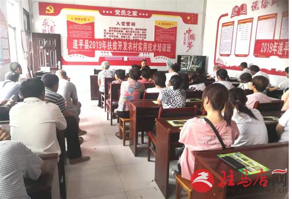 QQ图片20190826210602
