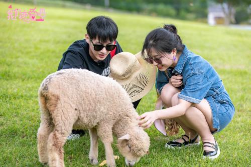 《我们恋爱吧》热播 孟非继续吐槽 黄菡细致分析