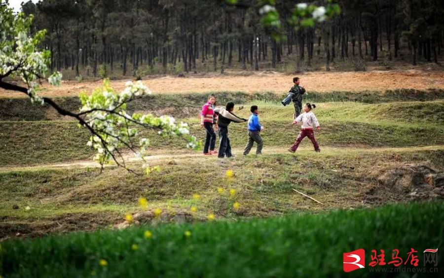 吹面不寒杨柳风。连日来，无论是在驻马店市内的开源湖公园、练江河沿岸，嵖岈山下的郁金香园，还是在美丽的泌阳县古梨园，处处都春意盎然，一树树的鲜花次第绽放，美不胜收。
随着天气逐渐转暖，市区的玉兰花、迎春花、桃花、红叶李，山野的油菜花、梨花、杏花、桃花都“你不让我，我不让你，都开满了花赶趟儿。红的像火，粉的像霞，白的像雪。”在春日阳光下分外妖娆，把大地妆点得五彩缤纷、绚烂多姿。漫步市区，随处都能感受到春的气息，赏心悦目、清香阵阵、沁人心脾。（记者 王晓晶 供图：村夫 岁月悠悠）