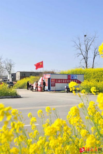 吹面不寒杨柳风。连日来，无论是在驻马店市内的开源湖公园、练江河沿岸，嵖岈山下的郁金香园，还是在美丽的泌阳县古梨园，处处都春意盎然，一树树的鲜花次第绽放，美不胜收。
随着天气逐渐转暖，市区的玉兰花、迎春花、桃花、红叶李，山野的油菜花、梨花、杏花、桃花都“你不让我，我不让你，都开满了花赶趟儿。红的像火，粉的像霞，白的像雪。”在春日阳光下分外妖娆，把大地妆点得五彩缤纷、绚烂多姿。漫步市区，随处都能感受到春的气息，赏心悦目、清香阵阵、沁人心脾。（记者 王晓晶 供图：村夫 岁月悠悠）