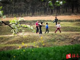 吹面不寒杨柳风。连日来，无论是在驻马店市内的开源湖公园、练江河沿岸，嵖岈山下的郁金香园，还是在美丽的泌阳县古梨园，处处都春意盎然，一树树的鲜花次第绽放，美不胜收。
随着天气逐渐转暖，市区的玉兰花、迎春花、桃花、红叶李，山野的油菜花、梨花、杏花、桃花都“你不让我，我不让你，都开满了花赶趟儿。红的像火，粉的像霞，白的像雪。”在春日阳光下分外妖娆，把大地妆点得五彩缤纷、绚烂多姿。漫步市区，随处都能感受到春的气息，赏心悦目、清香阵阵、沁人心脾。（记者 王晓晶 供图：村夫 岁月悠悠）