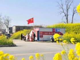 吹面不寒杨柳风。连日来，无论是在驻马店市内的开源湖公园、练江河沿岸，嵖岈山下的郁金香园，还是在美丽的泌阳县古梨园，处处都春意盎然，一树树的鲜花次第绽放，美不胜收。
随着天气逐渐转暖，市区的玉兰花、迎春花、桃花、红叶李，山野的油菜花、梨花、杏花、桃花都“你不让我，我不让你，都开满了花赶趟儿。红的像火，粉的像霞，白的像雪。”在春日阳光下分外妖娆，把大地妆点得五彩缤纷、绚烂多姿。漫步市区，随处都能感受到春的气息，赏心悦目、清香阵阵、沁人心脾。（记者 王晓晶 供图：村夫 岁月悠悠）