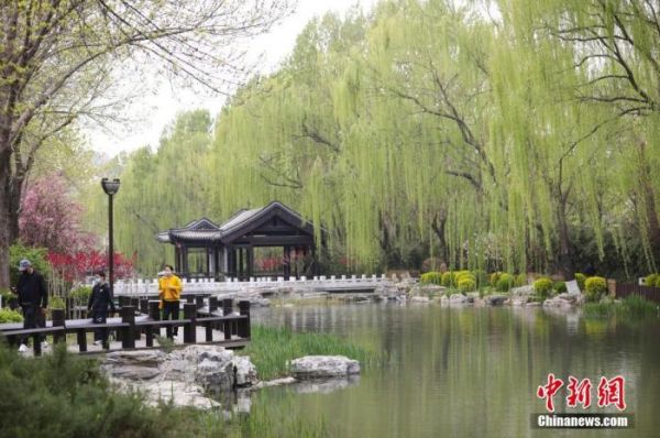 4月9日，一场春雨过后，北京“潭西胜境”景区，碧波映垂柳，一派春意盎然惹人醉。<a target='_blank' href='http://www.chinanews.com/'>中新社</a>记者 赵隽 摄