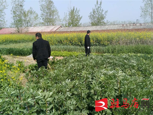 QQ图片20200419182722