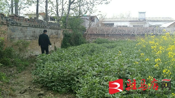 QQ图片20200419182733