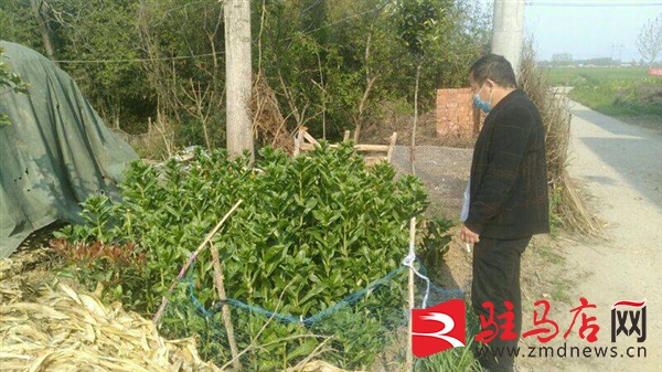 QQ图片20200419182718