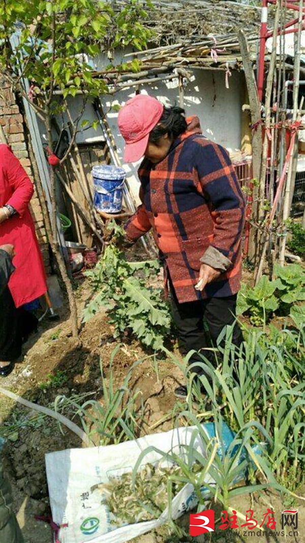 QQ图片20200419182712