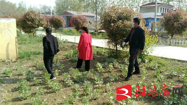 QQ图片20200419182730