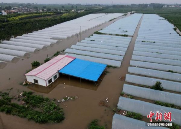 资料图：被淹的大棚。 <a target='_blank' href='http://www.chinanews.com/'>中新社</a>记者 邹浩 摄 　 　