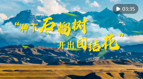 微信图片_20230227154735