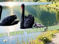 太萌了！黄淮学院“黑天鹅夫妇”喜提四胞胎
