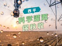 西平：科学灌溉保秋粮 