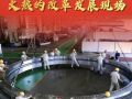 竖屏微视频｜跟着总书记看火热的改革发展现场