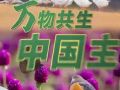 联播+｜万物共生 中国主张