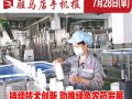 7月28日早报
