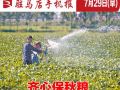 7月29日早报