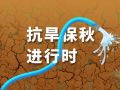抗旱保秋进行时