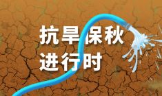 抗旱保秋进行时
