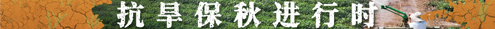 抗旱保秋进行时