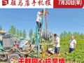 7月30日早報