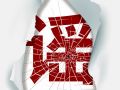 海报丨清朗天中  “驻”力辟谣