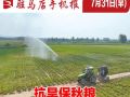 7月31日早報(bào)