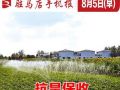 8月5日早報