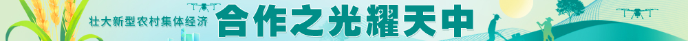 合作之光耀天中
