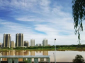 文明风采天中行丨泌阳：在精神沃土上绽放幸福之花