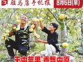 8月6日早報(bào)