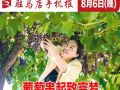 8月6日晚报