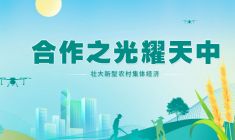 合作之光耀天中