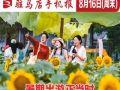 8月16日周末