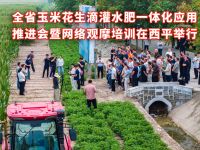 全省玉米花生滴灌水肥一体化应用推进会暨网络观摩培训在西平举行