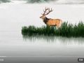 绿水青山间｜四季回响