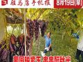 8月19日早报