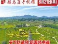 8月21日早報