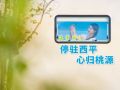 海棠园记：停驻西平 心归桃源