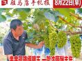 8月22日早报