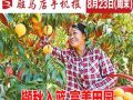 8月23日周末