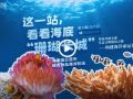 幸會中國 | 守護珊瑚之美，共筑“海洋命運共同體”