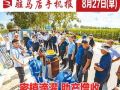 8月27日早报