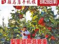 8月28日早报