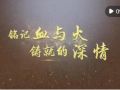 历史的回响｜铭记血与火铸就的深情