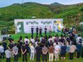 茶山鵲橋共相會 緣定七夕話新風