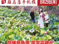 8月29日早報
