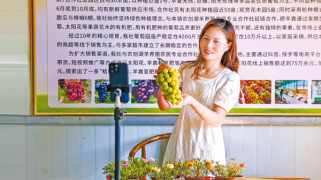 永興鎮(zhèn)：網(wǎng)上開直播 助農(nóng)賣葡萄