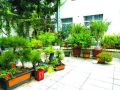 常運海：筆墨生香花草間